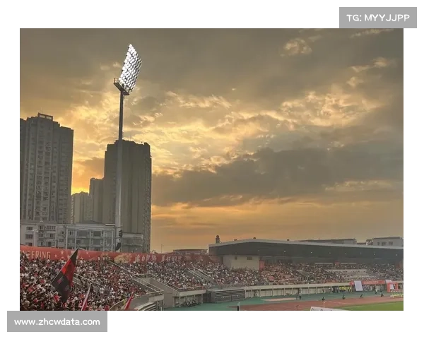 重庆铜梁龙升超后有望启用专业足球场作为新主场